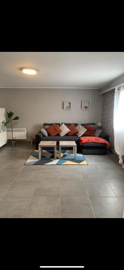 Convivialetzen Apartman Chatenoy-le-Royal Kültér fotó