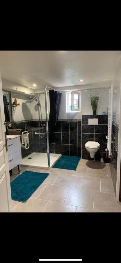 Convivialetzen Apartman Chatenoy-le-Royal Kültér fotó